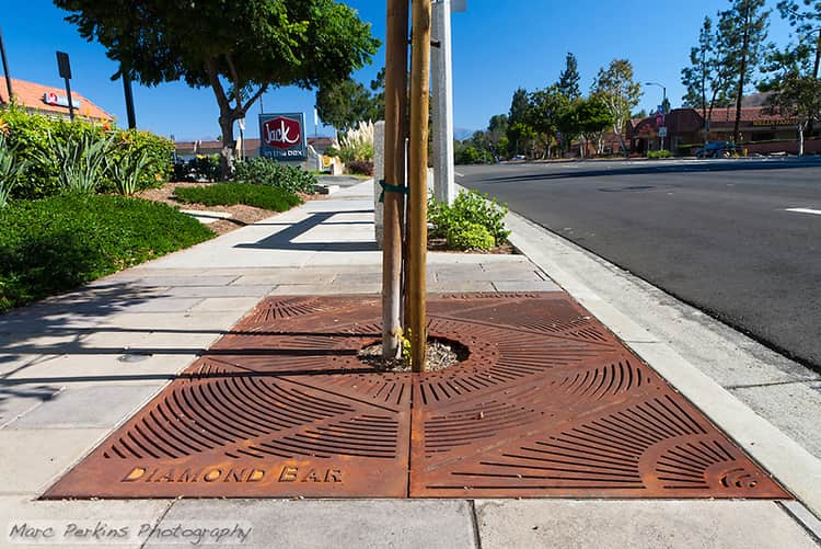 Ironsmith metal decorative grate over a tree base in the sidewalk