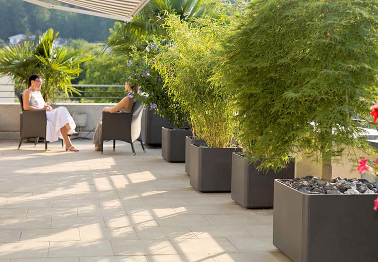 A rooftop garden with a row of hedges planted in Greenform Delta Cube individual square planters; two woman are seated and talking in the distance