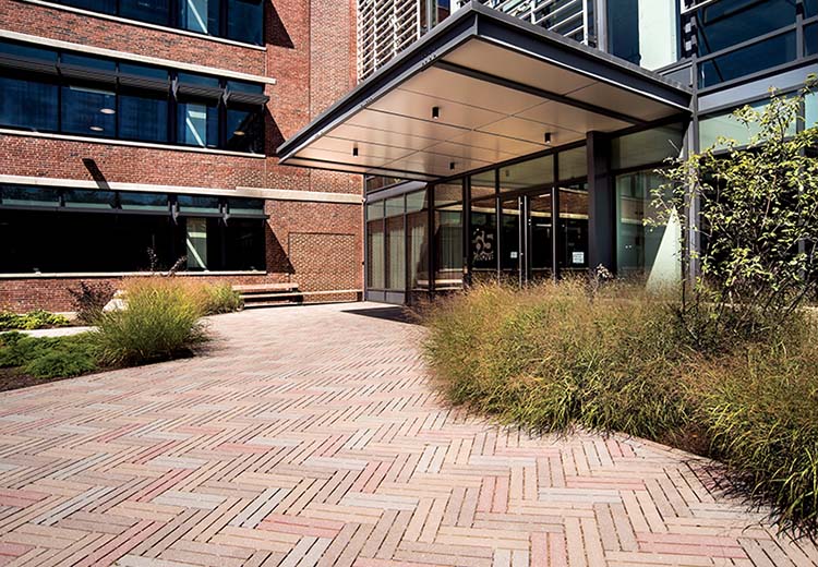 Entrance to a large commercial building with a Hanover permeable brick pathway up to the glass doors.