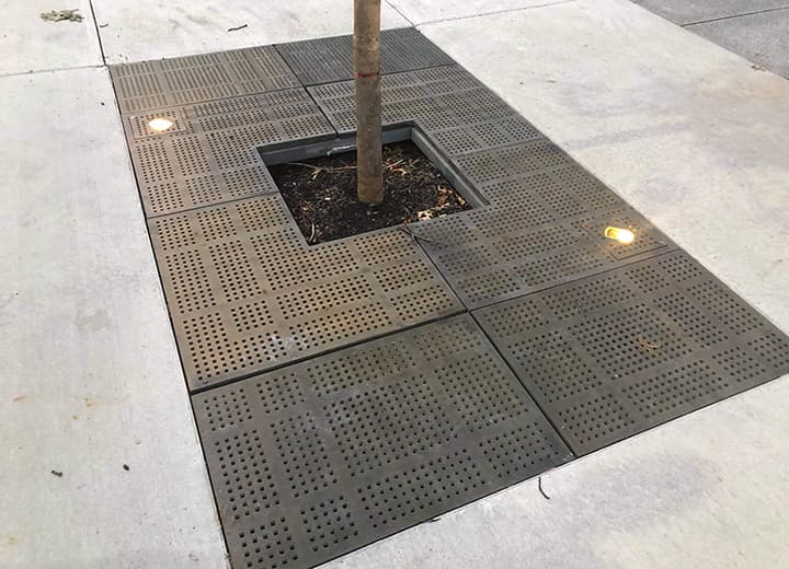 A tree with a decorative Ironsmith metal grate in a cement sidewalk. The great has 2 up-lights embedded in it.