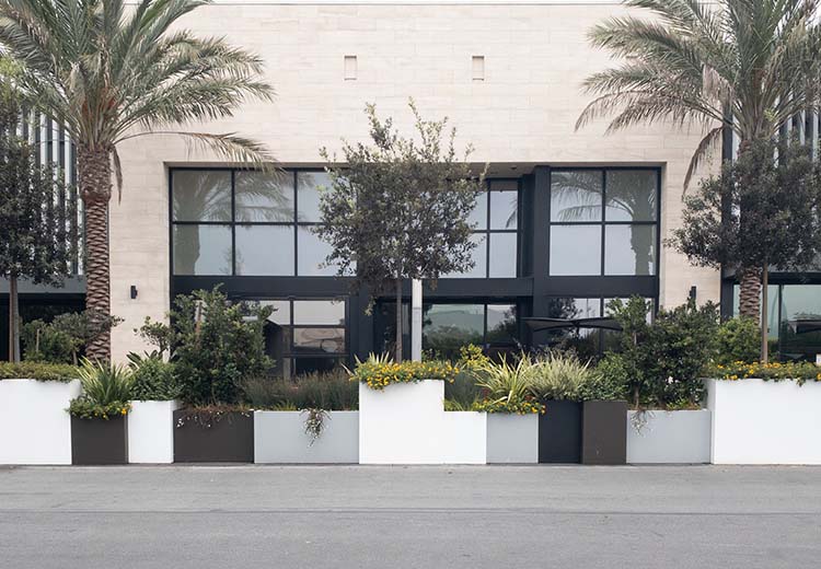 Several powder-coated Form and Fiber steel box planters in a staggered line. They are a mix of brown and white. Some have small trees and others have scrubs and flowering plants.
