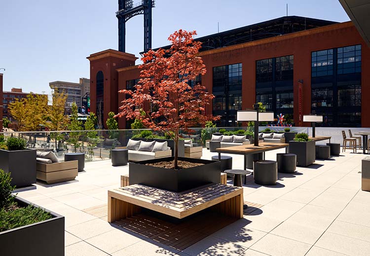 Rooftop plaza with trees in Form and Fiber custom metal box planters with wood benches extending out.