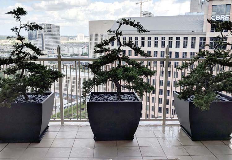 Small trees in Form and Fiber Essentials metal planters up against the glass wall of a high rise balcony.