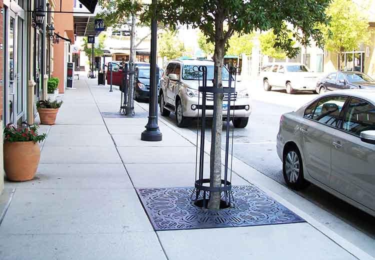 Sidewalk of a shopping street. The trees along the sidewalk have a decorative metal Ironsmith grates in the Del Sol line covering the root area for safety and the tree trunk has a protective metal guard. Parked cars line the street.